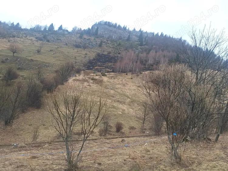 Teren intravilan Magura - 8