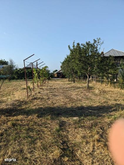 Casă cu 3 camere în Căteasca