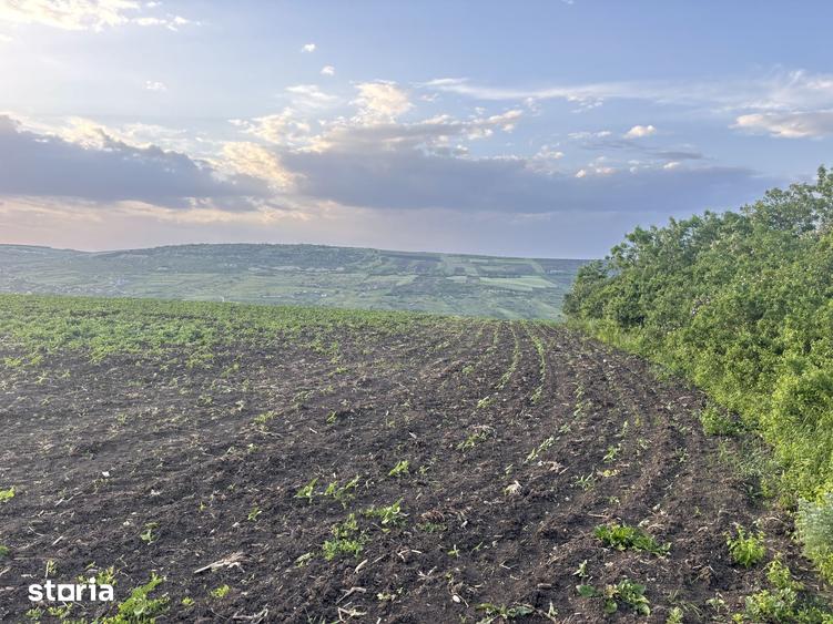 Teren de 990 mp, în Iris
