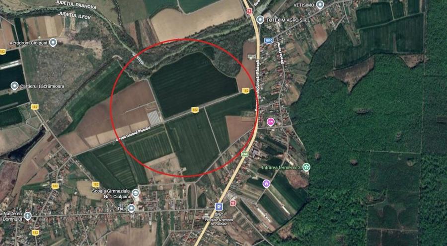 Teren Construcții intravilan de 100000 mp, în Ciolpani