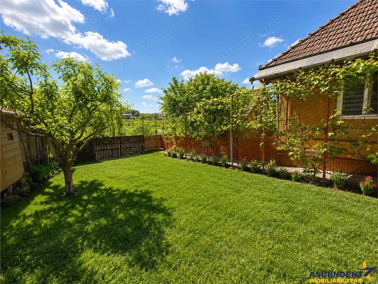 Casa cu farmec autentic, anexe, 1.100 mp teren roditor, Saulia, Mures - 6