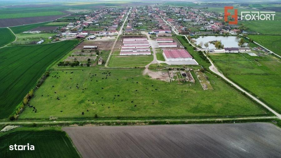 Spațiu comercial, în Peciu Nou