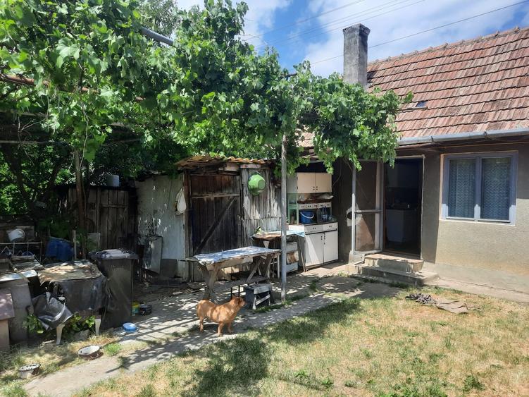 Casă cu 2 camere în Central