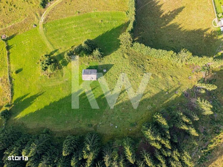 Teren de 18044 mp, în Dâmbovicioara
