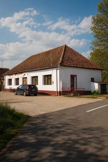 Casă cu 3 camere în Cermei