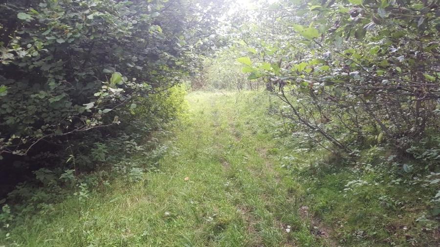 Teren Construcții intravilan de 2834 mp, în Râu de Mori