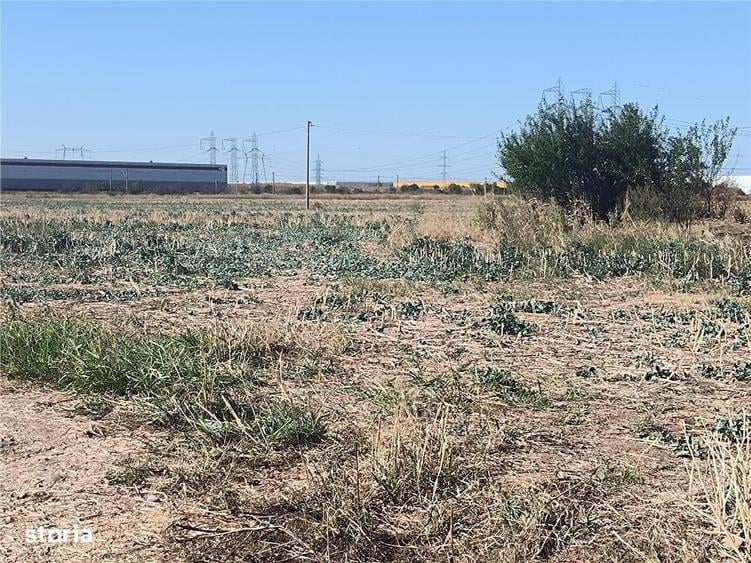 Teren Domnesti,iesire rapida A1 si Centura Bucuresti,zona Divertland s - 4