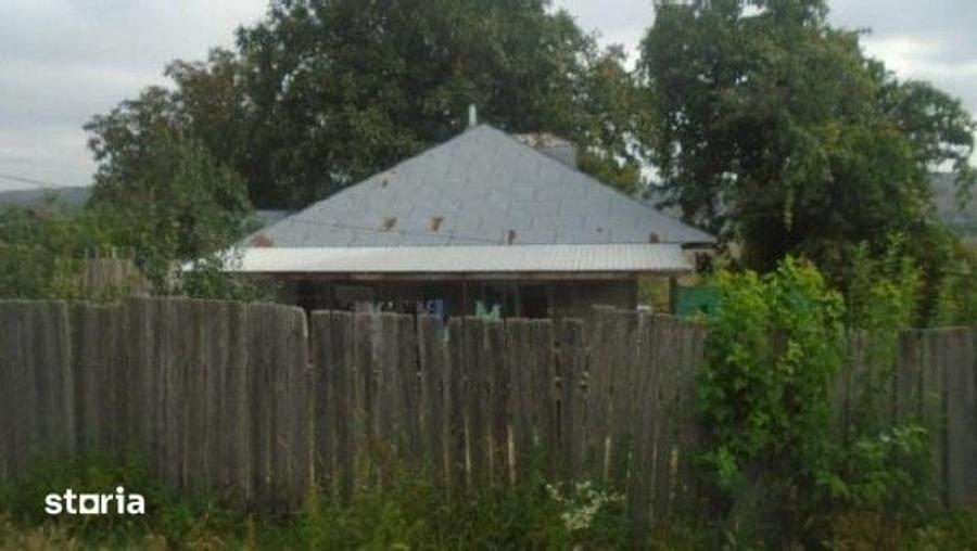 Casă cu 3 camere cu Teren 3487 Mp în Tănăsoaia