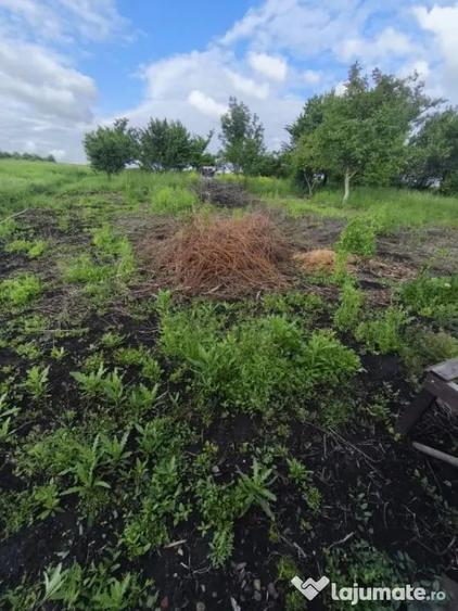 Casă cu 4 camere cu Teren 6000 Mp în Negostina