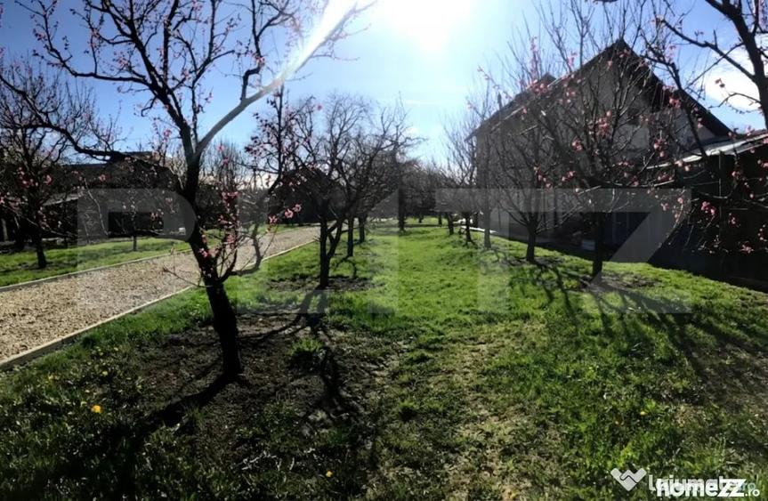 Teren în Voinești