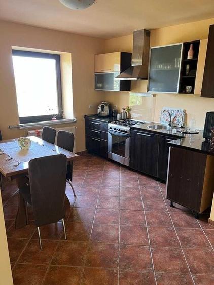 Casă cu 4 camere cu Teren 8000 Mp în Budila