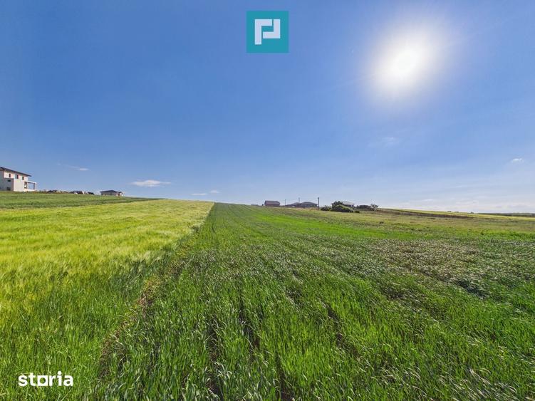 Teren de 3500 mp, în Sânmartin