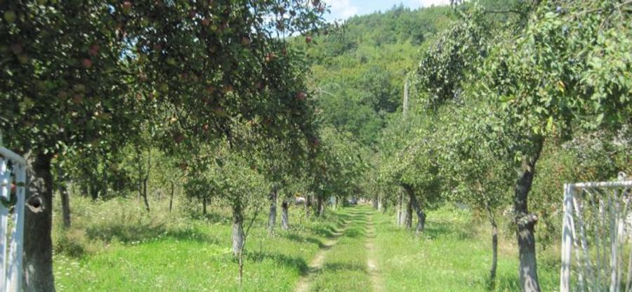 Casă cu 3 camere cu Canalizare în Baia de Aramă
