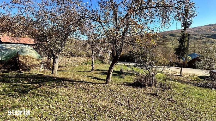Teren de 4044 mp, în Vișinești
