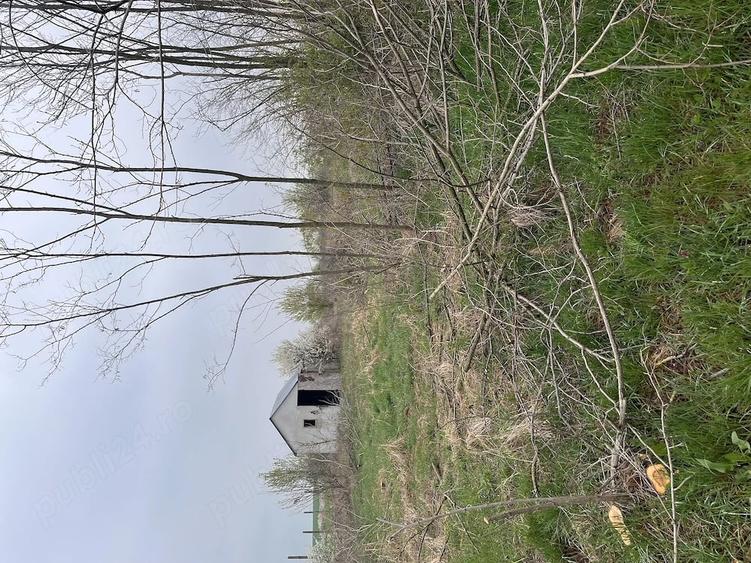 Teren de 5800 mp, în Pișchia