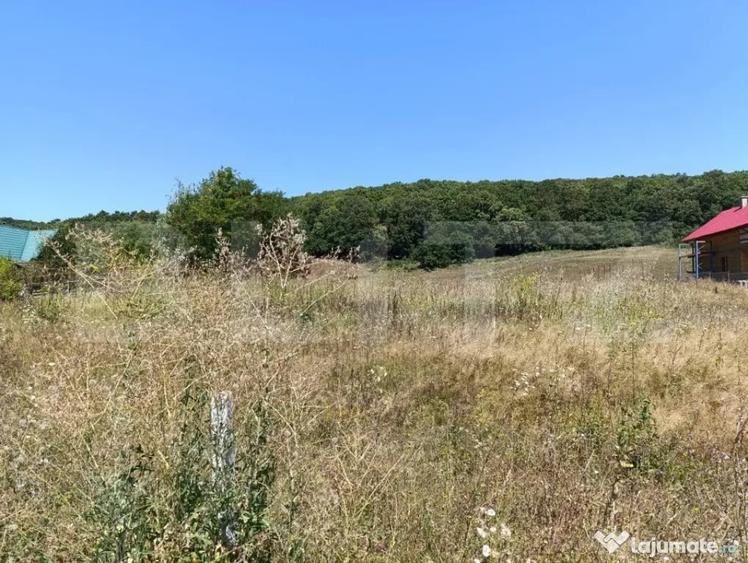 Teren 10200mp , toate utilitatile , la 10 km de DEJ - 1