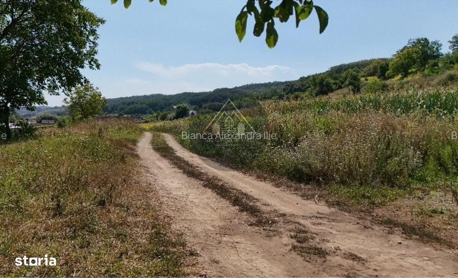Teren intravilan Medias - de vanzare