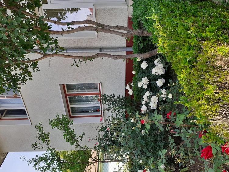 Casă cu 8 camere cu Teren 750 Mp în Tache