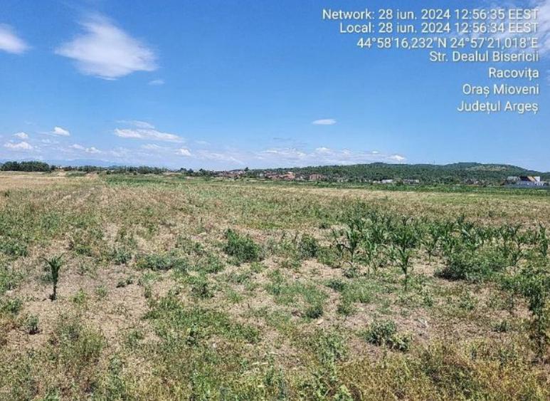 Teren de 1960 mp, în Central