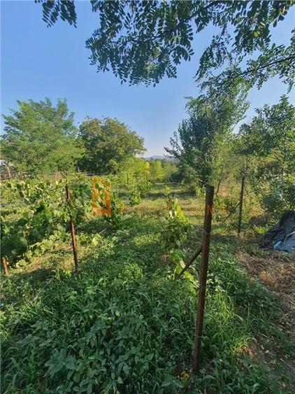 Teren intravilan de 1717 mp, în Beceni