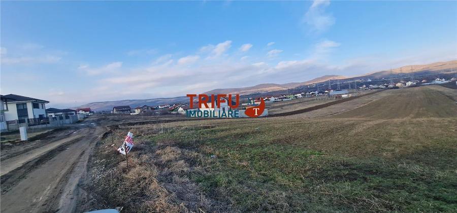 Teren Construcții intravilan de 2125 mp, în Bărăbanț