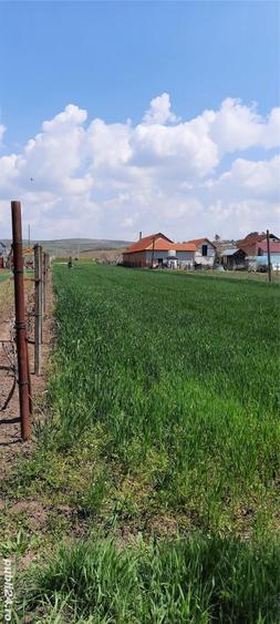 Teren de 2200 mp, în Brădești