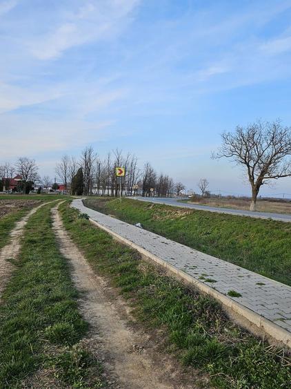 Teren agricol extravilan de 21600 mp, în Satu Nou