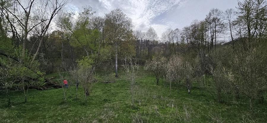 Teren de 3320 mp, în Provița de Sus