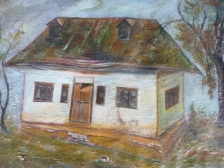 Casă cu Teren 2000 Mp în Cerchezu