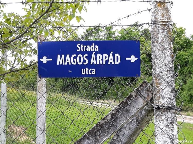 Teren de 6670 mp, în Viile Satu Mare