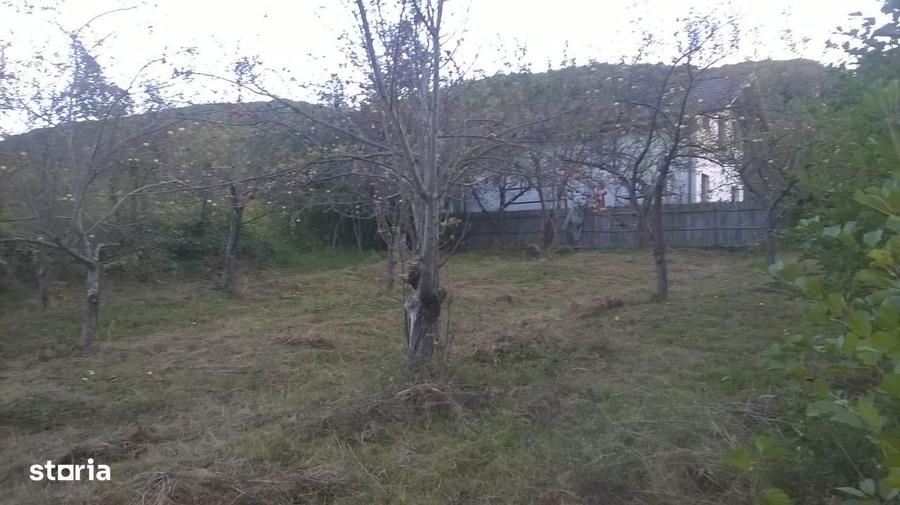 Teren de 720 mp, în Vlădești