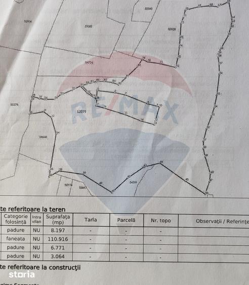 Teren de 128948 mp, în Negreni