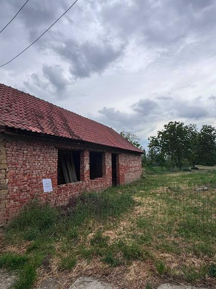 Casă cu 3 camere în Diosig