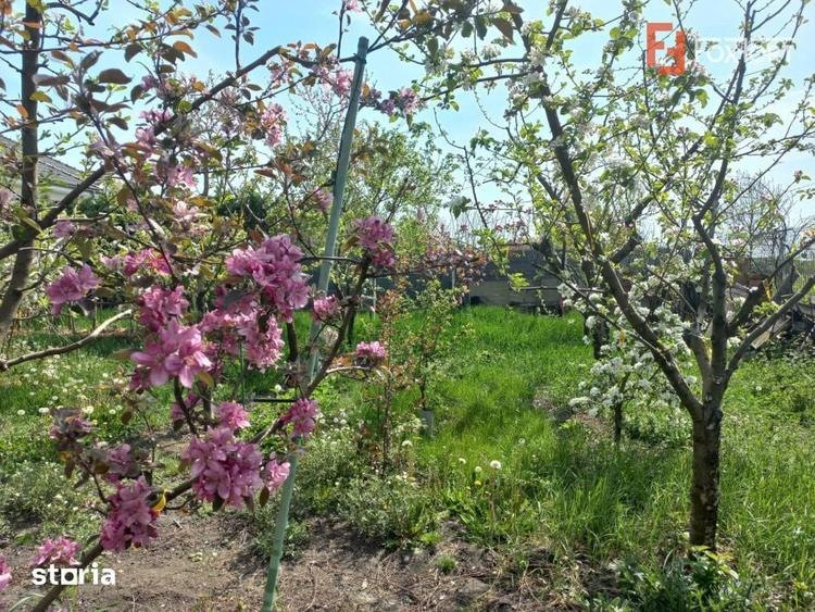 Casă cu 5 camere cu Teren 805 Mp în Ghiroda