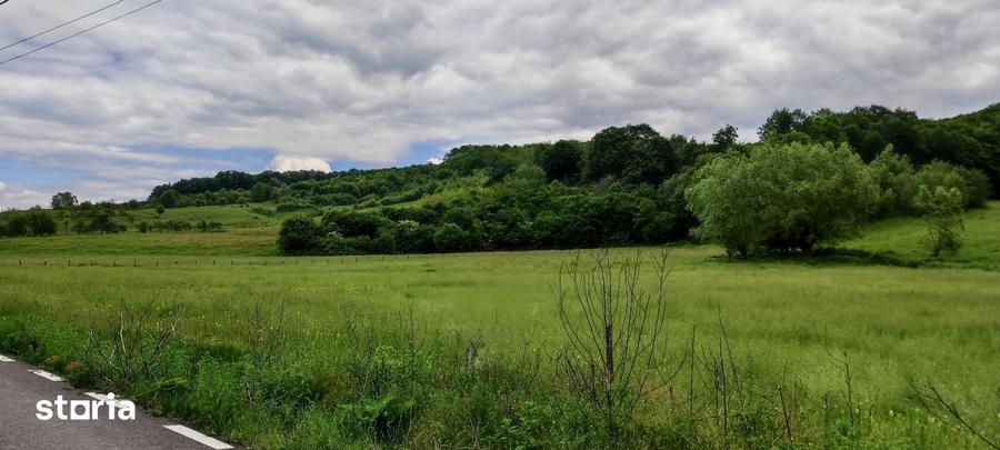 Teren de 22800 mp, în Mihăești