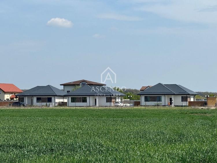 Teren agricol extravilan de 7000 mp, în Tamași