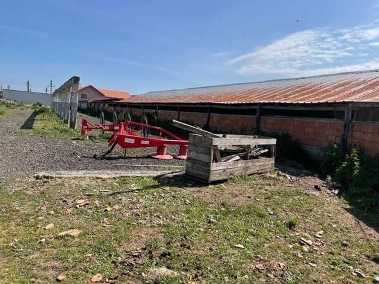Spațiu comercial, de 370 mp, în Vinga