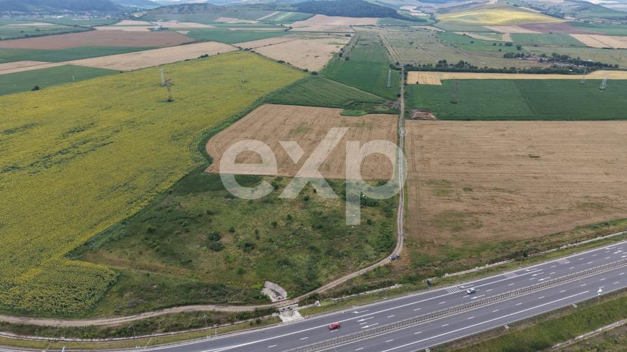 Teren Construcții extravilan de 44376 mp, în Ungheni