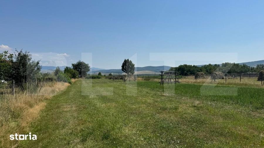 Teren de 3000 mp, în Livezile