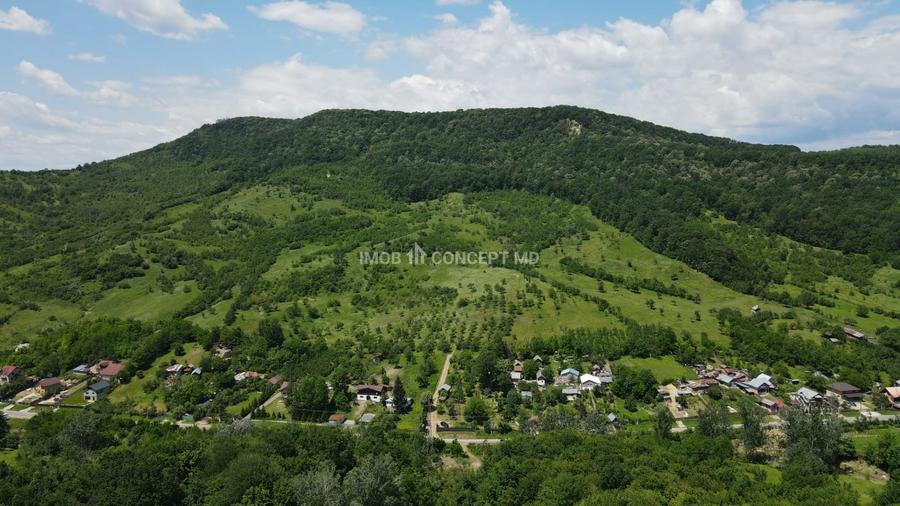 Teren agricol extravilan de 16189 mp, în Șoimari