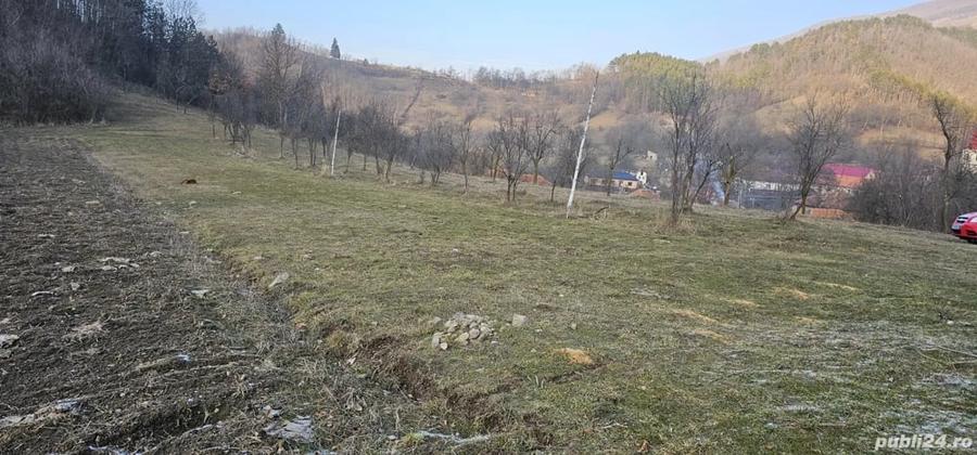 Teren de 4300 mp, în Cornereva
