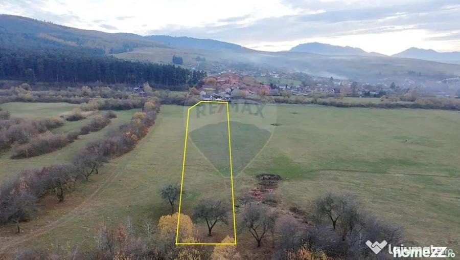 Teren de 5800 mp, în Purcăreni