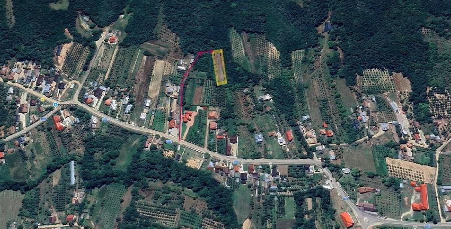 Teren de 1300 mp, în Bogați