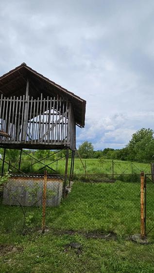 Casă cu Teren 3460 Mp în Pocruia