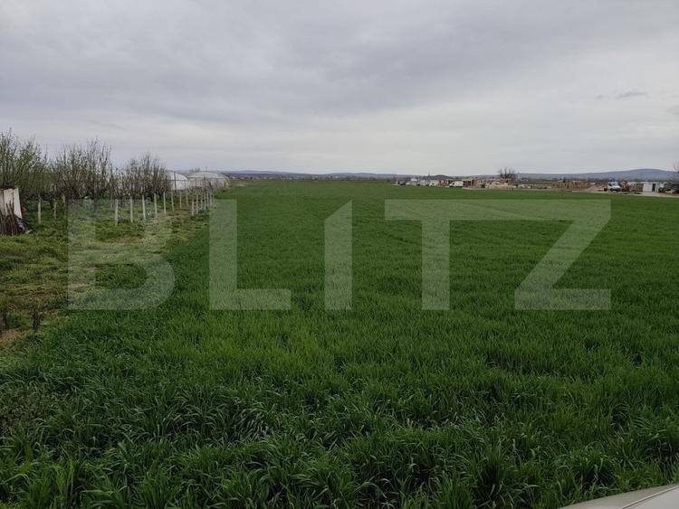 Teren Construcții intravilan de 8600 mp, în Podgoria