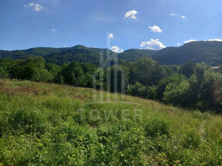 Teren de 3673 mp, în Fântânele