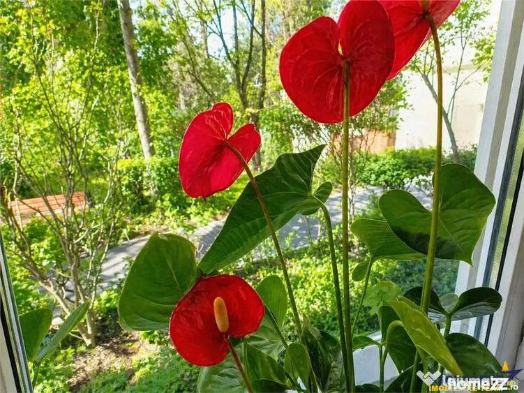 Apartament cu 3 camere semidecomandat în Dâmbu Pietros