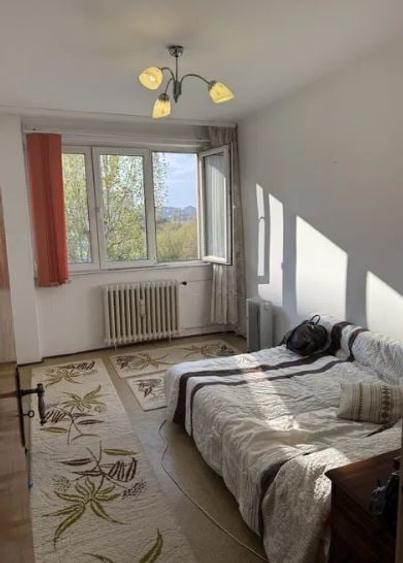 Apartament 2 Camere,Titan,Nicolae Grigorescu,DECOMANDAT,Amenajat,boxa,parcare - 4