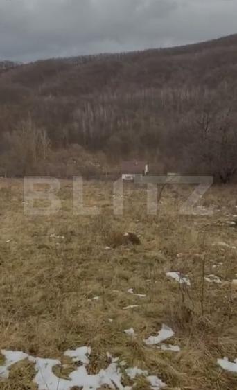 De vanzare Teren extravilan 3300mp - padure, loc. Salicea, jud. Cluj - 4