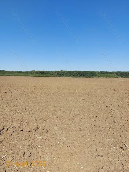Teren de 4600 mp, în Central